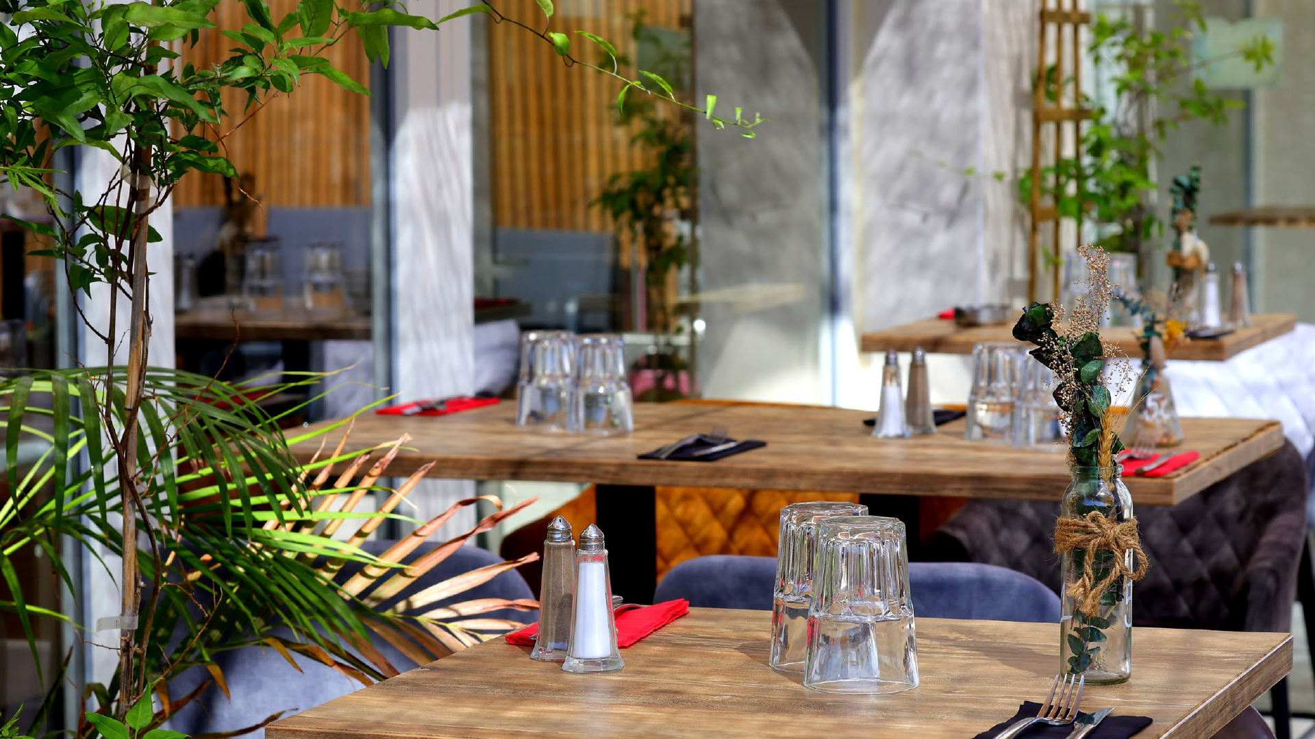 Trèfle Rouge Notre terrasse